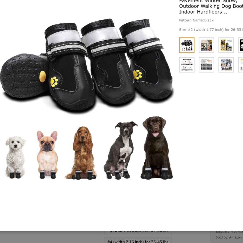 HC Pet Shoes size 5